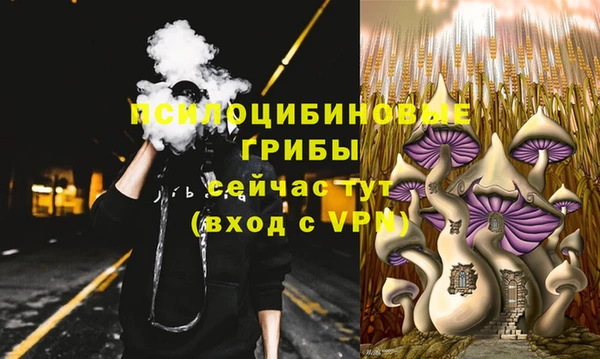 герыч Арсеньев