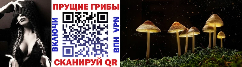 Псилоцибиновые грибы Magic Shrooms  Петухово 