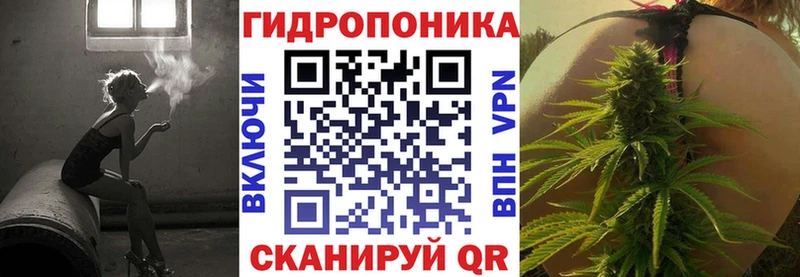 Бошки марихуана Bruce Banner  купить  цена  Петухово 